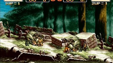 Little Red Riding Hoods Big Bad Wolf