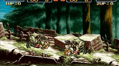 Little Red Riding Hoods Big Bad Wolf