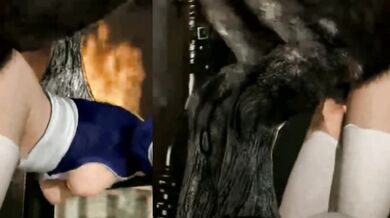 My Horses Amazing Journey to Become the Best Stallion in Town