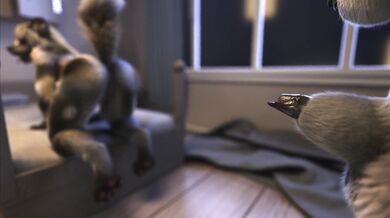 Alice and Rin [Uncensored]