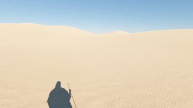 One Fiery Night with a Dragon-Lord and His Sultry Servants