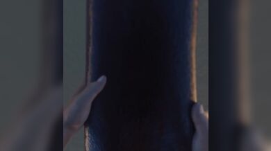 One Fiery Night with a Dragon-Lord and His Sultry Servants