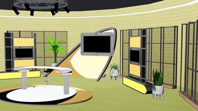 Erina, Tamaki [FULL MOON NIGHTS] [PINK PUNK PRO]