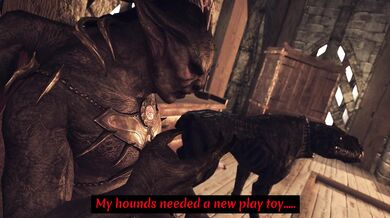 Lost In The Forest: Sylvan Adventure Part 3 - Malena and the Elves