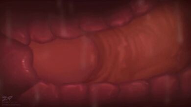 Janner3d & Zonkpunch Compilation