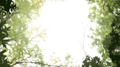 My Sexy Adventures on the Island of Kusu-Jin!