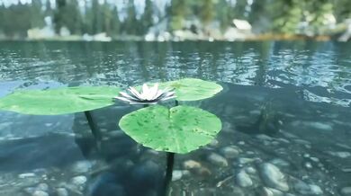 The Elder Scrolls V: Skyrim - Argonian Bondage