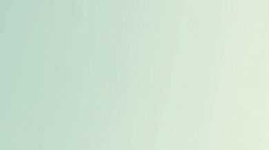 Anatomy Lesson with Professor Quinn: A Hentai Fuck-a-thon