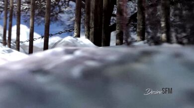 In a snowy forest, Joel and Ellie are lost in their own desires