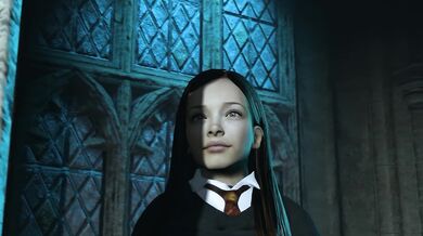 The Sorcerers Penis: An Unidentifiable Magic Wand