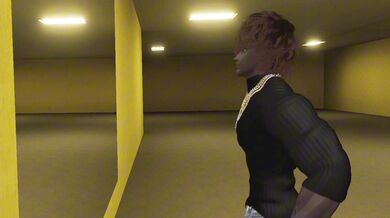 The Adventures of the Lost Tape: The Hentai Expedition