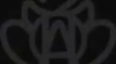 The Adventures of the Lost Tape: The Hentai Expedition