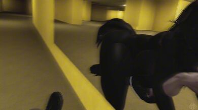 The Adventures of the Lost Tape: The Hentai Expedition