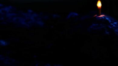 Erotic Enchantress in the Forest gets plowed by a massive Minotaur schlong