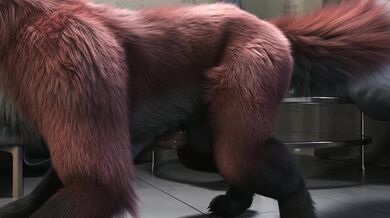 Tani and Nightfox: The Hidden Desire