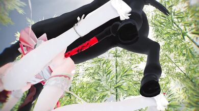 A horse walks into a bar and asks for a refill