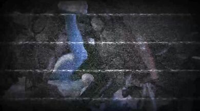 SFM Three Knife Wolf X Crystal Sound Saddle