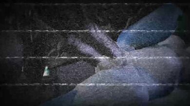 SFM Three Knife Wolf X Crystal Sound Saddle