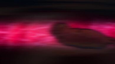 The Quest of Honor - 2Bs Full Story