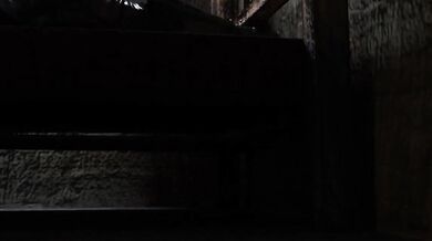 Harley Quinn, the infamous villainess of Gotham City, takes a ride on Robin’s cock and gets fucked hard in her ass