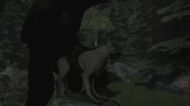 The Best of Both Worlds: A Werewolf and His Doggy Bride in Wolfland!