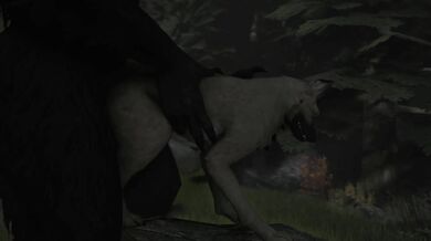 The Best of Both Worlds: A Werewolf and His Doggy Bride in Wolfland!