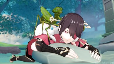 Beidous Fun in the Forest