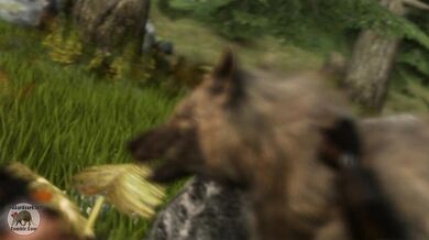 This is a fantastical porn where dogs take on the roles of humans in the wilderness, and they submit to their master Lord Aardvark