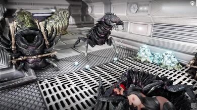 The Lustful Taming of the Shrew: A Nymphomaniacs Journey in the Forest