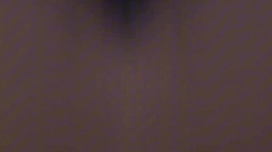 Blaze the Cat: A POV Hentai Experience