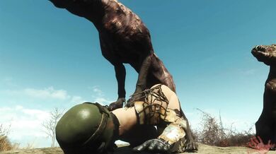 Hey guys, its time to pack it in for the day! Get your FO4 (Fallout 4) and lets get down to business!